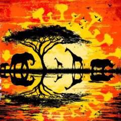 Work Corona afrika illustration editoiral coceptual sunrise sunset Kornel Illustration | Kornel Stadler