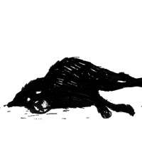 Work Kornel stadler illustration 892 2239 369 465 Kornel Illustration | Kornel Stadler