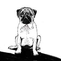 Work Kornel stadler illustration 911 2249 596 720 Kornel Illustration | Kornel Stadler