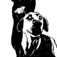 Work Kornel stadler illustration 884 2292 527 720 Kornel Illustration | Kornel Stadler