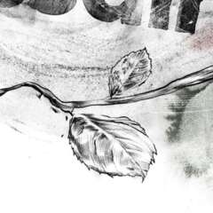 Work Swissair 2880 1104 800 Kornel Illustration | Kornel Stadler