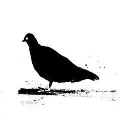 Work Flieg doch Weg Artwork drawing art illustration kornel ink gallery zeichnung kunst Kornel Illustration | Kornel Stadler