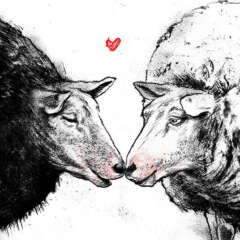 Work Schaeflein one love Artwork drawing art illustration kornel ink gallery zeichnung kunst Kornel Illustration | Kornel Stadler